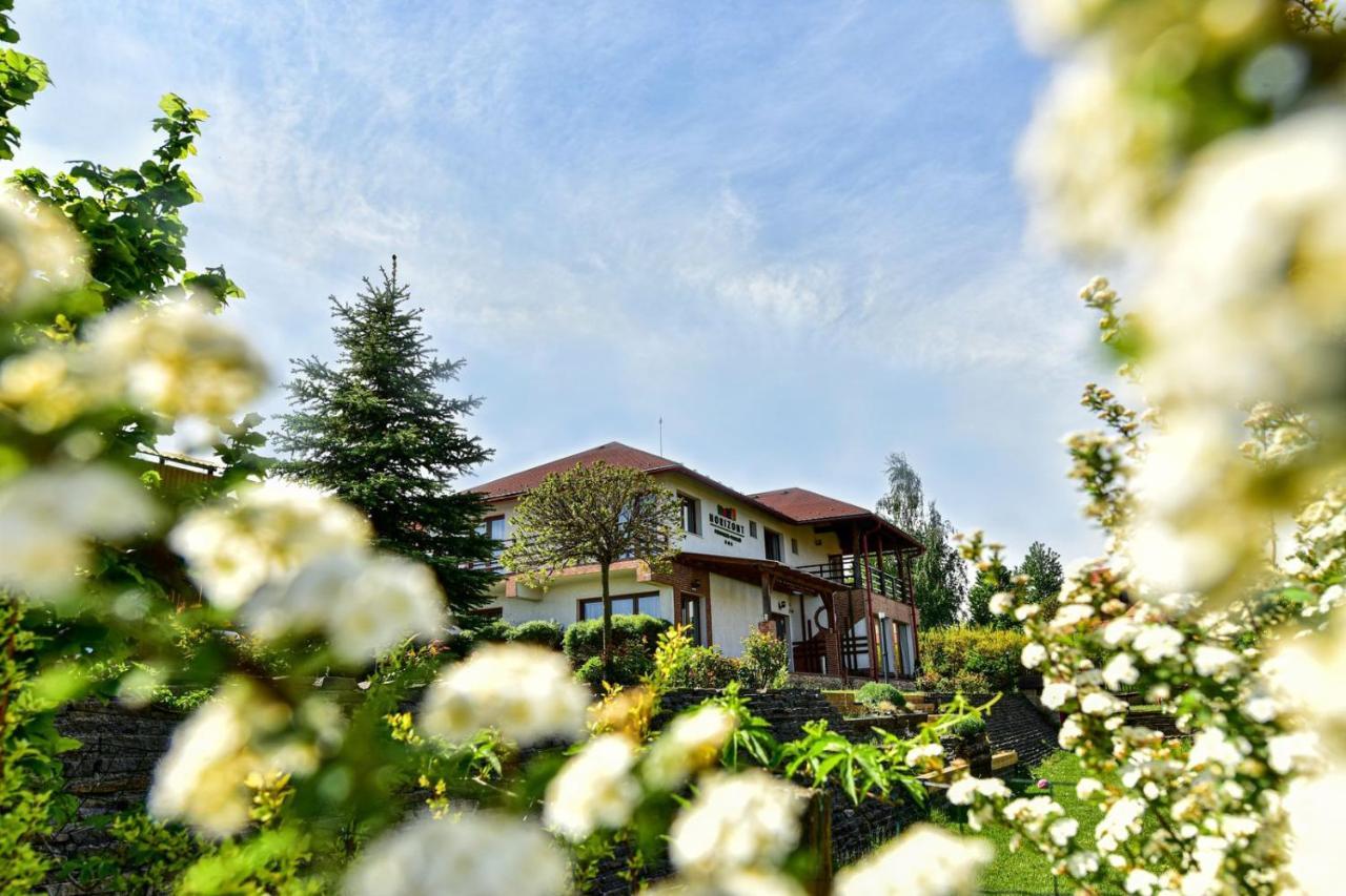 Horizont Panzio Bed & Breakfast Odorheiu Secuiesc Bagian luar foto