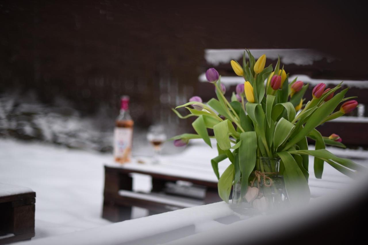 Horizont Panzio Bed & Breakfast Odorheiu Secuiesc Bagian luar foto