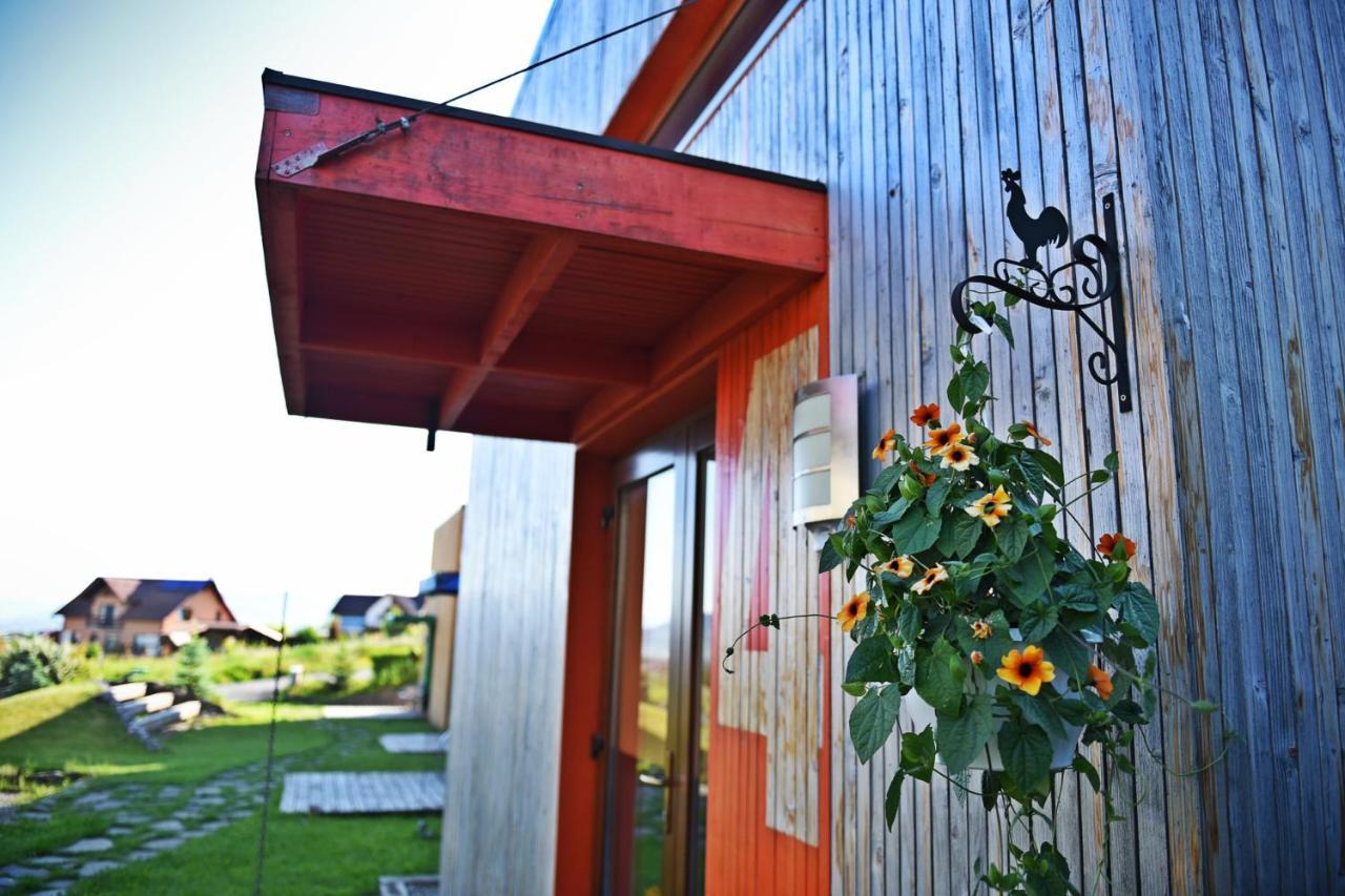 Horizont Panzio Bed & Breakfast Odorheiu Secuiesc Bagian luar foto