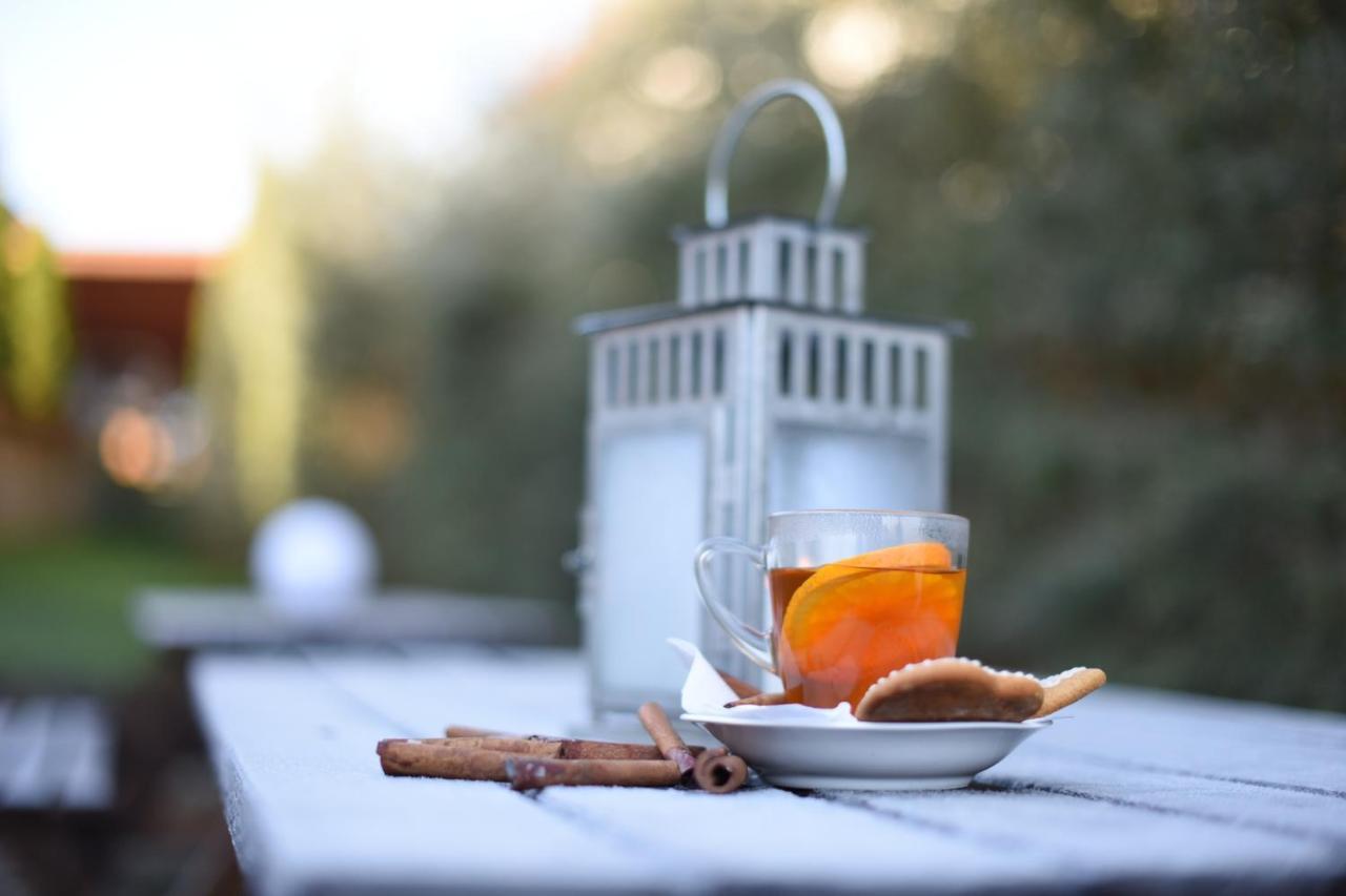 Horizont Panzio Bed & Breakfast Odorheiu Secuiesc Bagian luar foto