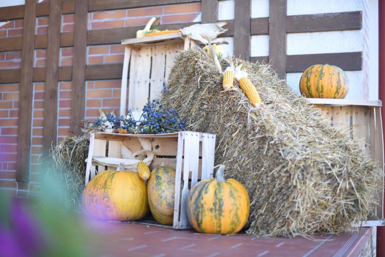 Horizont Panzio Bed & Breakfast Odorheiu Secuiesc Bagian luar foto