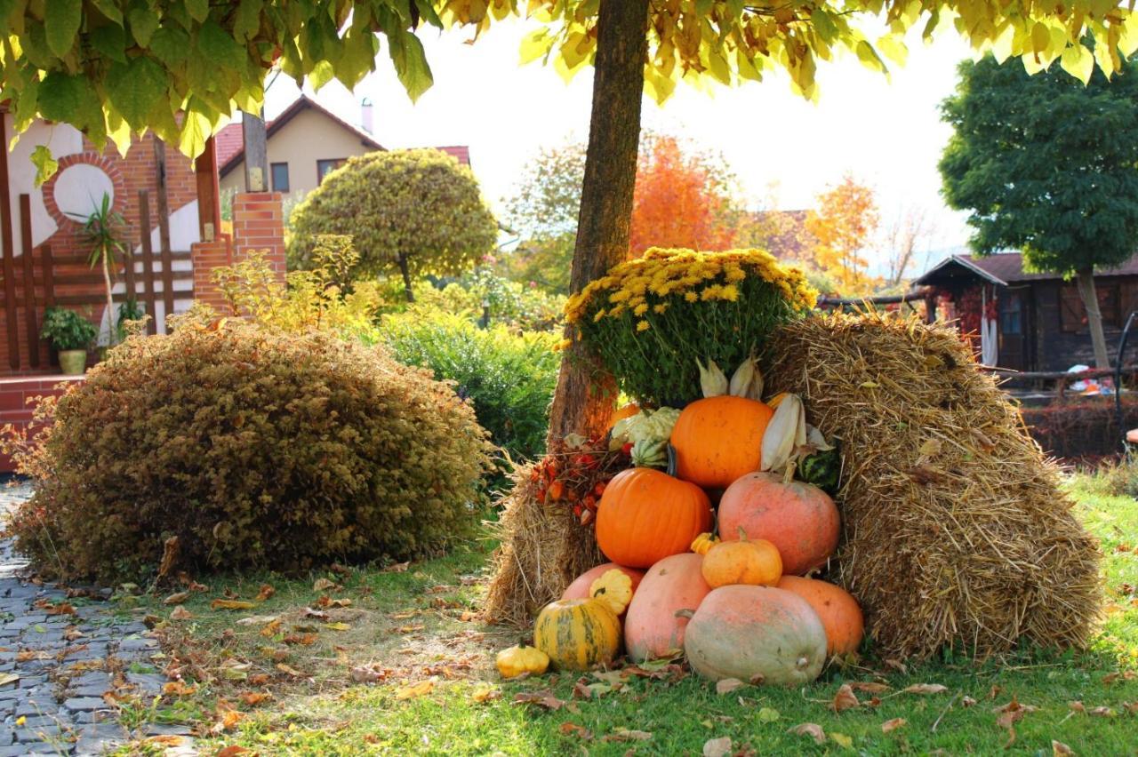 Horizont Panzio Bed & Breakfast Odorheiu Secuiesc Bagian luar foto