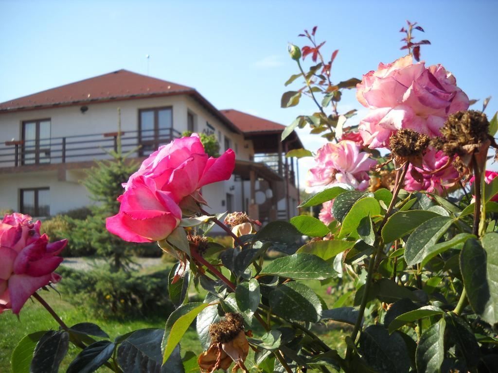 Horizont Panzio Bed & Breakfast Odorheiu Secuiesc Bagian luar foto